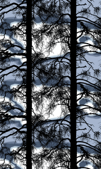 V2800293-6200; Vallila Kelohonka-kangas 150 cm Sininen / 150 cm 